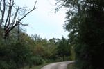 Fowler Cemetery Image 8